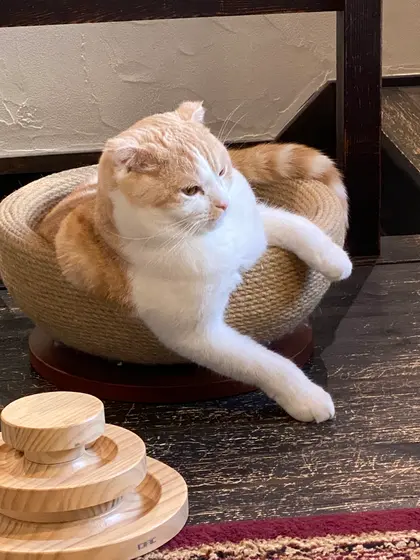 金太郎(寝床の中でおねむ)