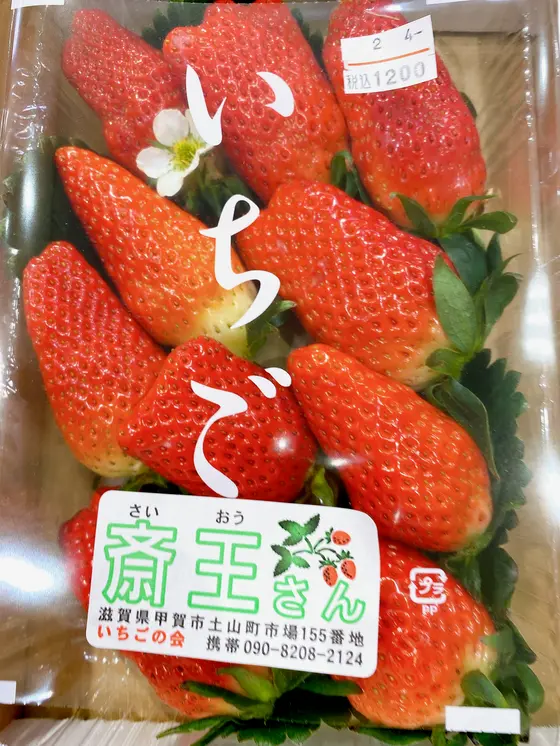 甲賀の ぃちご。斎王