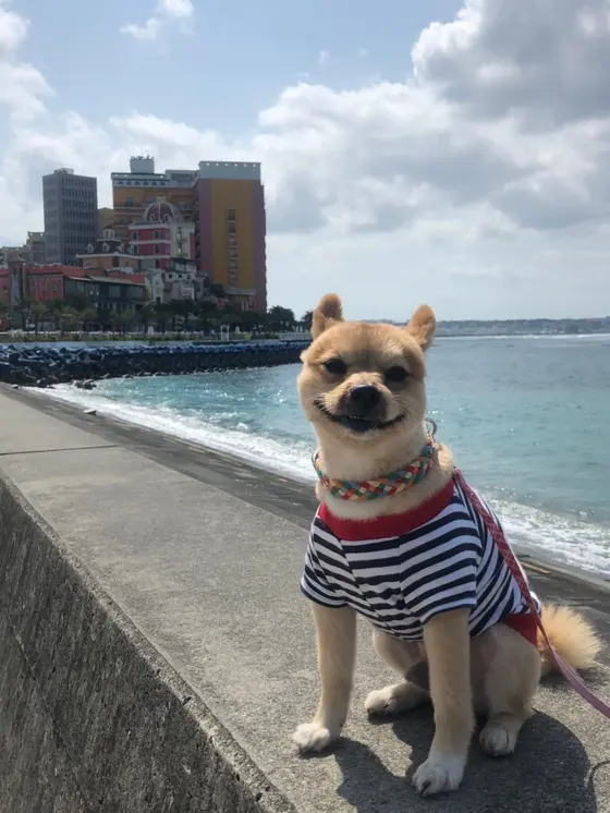 日向ぼっこ