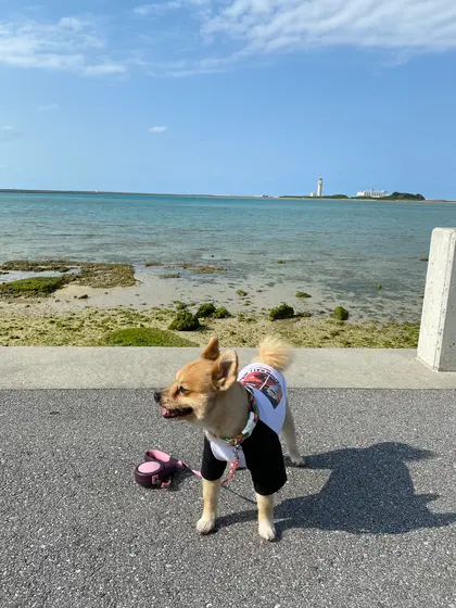 向こうは那覇空港