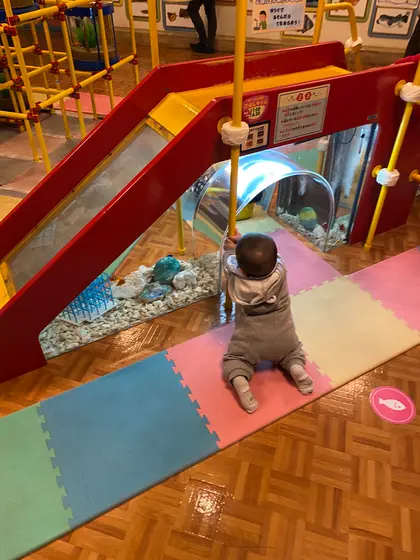 赤ちゃん水族館