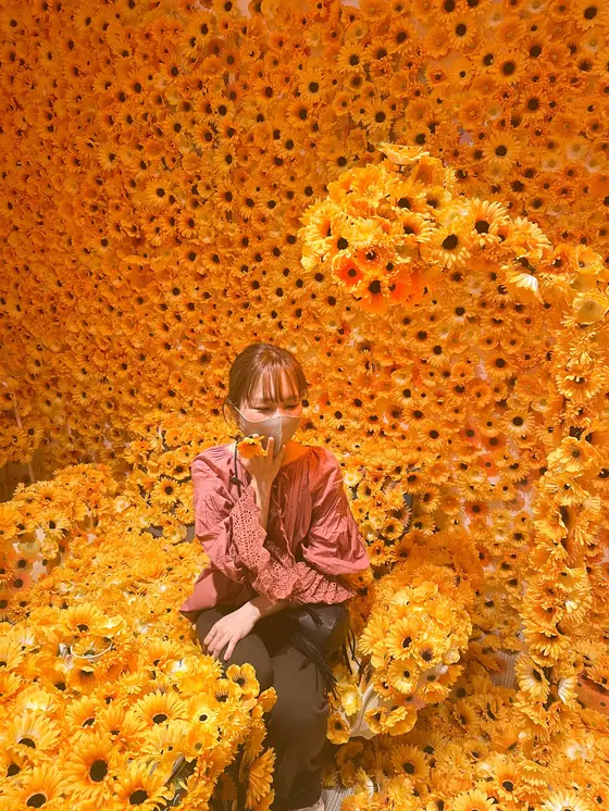 家具の原型がもはやないほどの花たち🌼