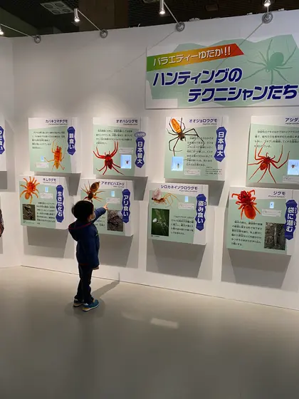 スポット内のおすすめ