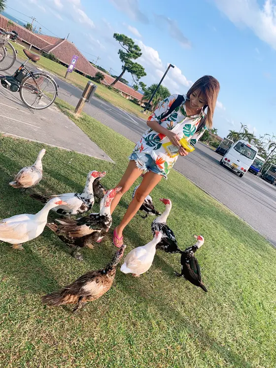 人懐っこいバリケン