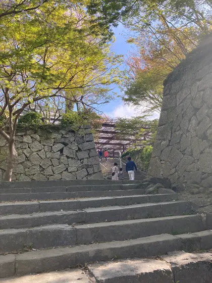 頑張って登ります