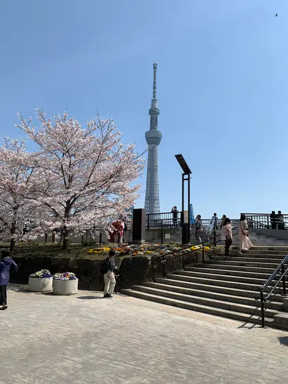 スポット内のおすすめ