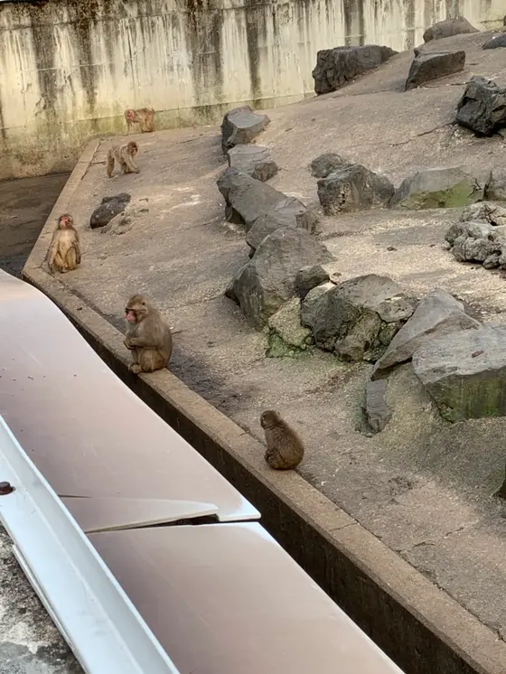 入口に猿園
