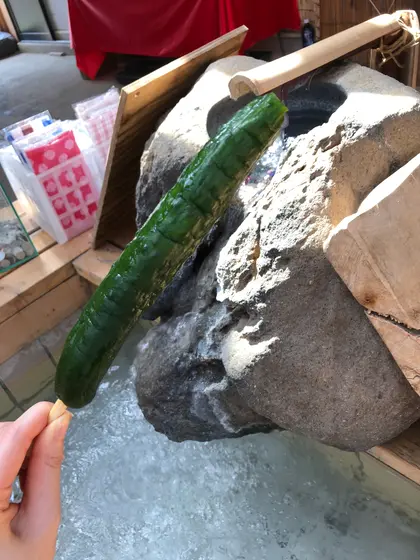 きゅうり