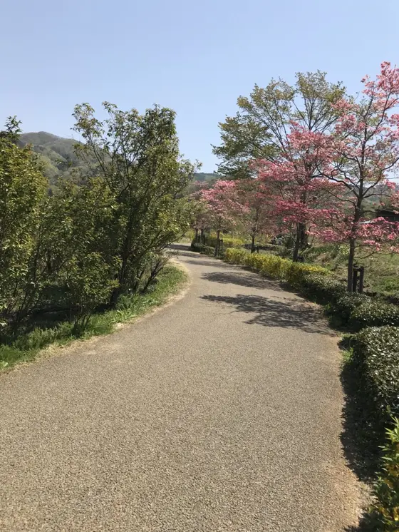 のどかな散歩道