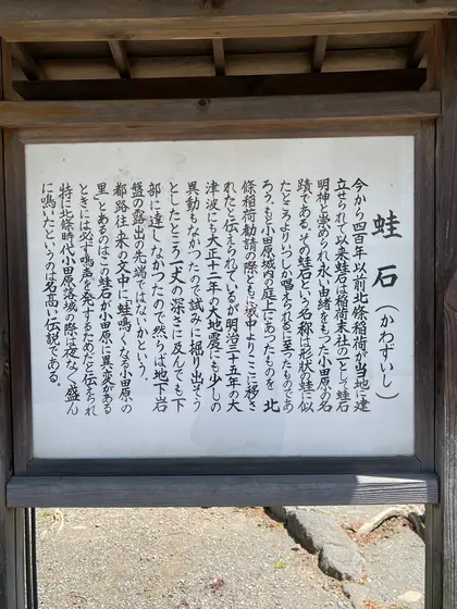 スポット内のおすすめ