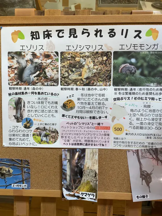 スポット内のおすすめ