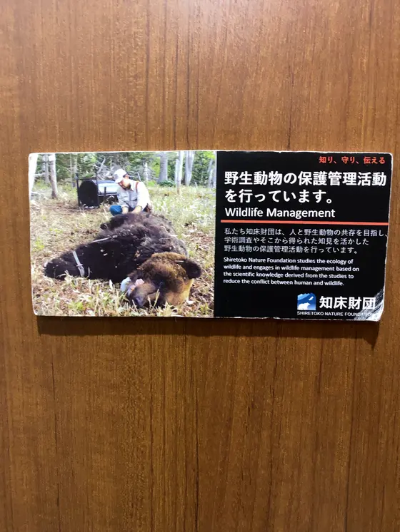 ﾄｨﾚにも