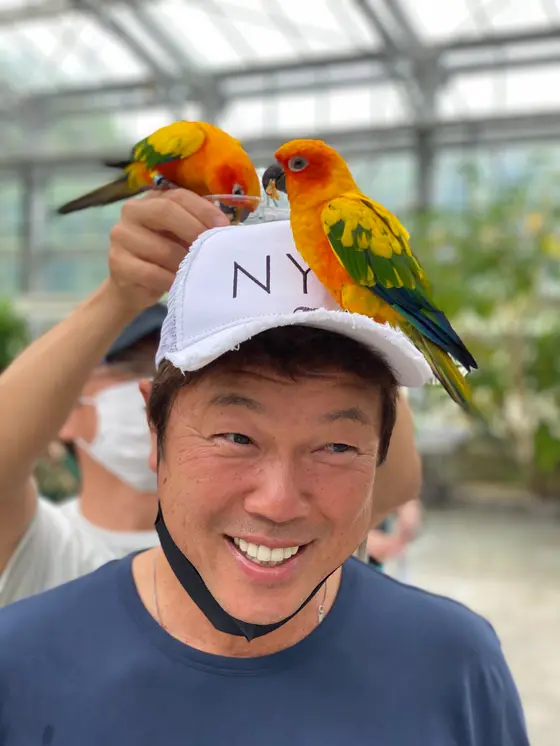 インコまみれ