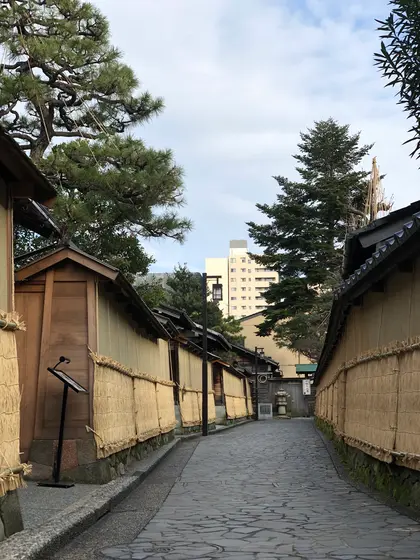 冬の風物詩「こも掛け」