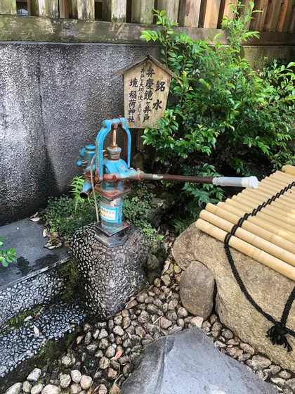 お散歩途中に