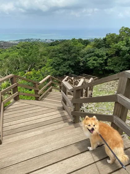 階段登りますっ