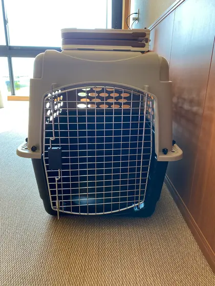 大型犬用のゲージ