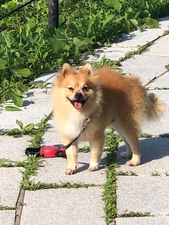 ぁちぃです