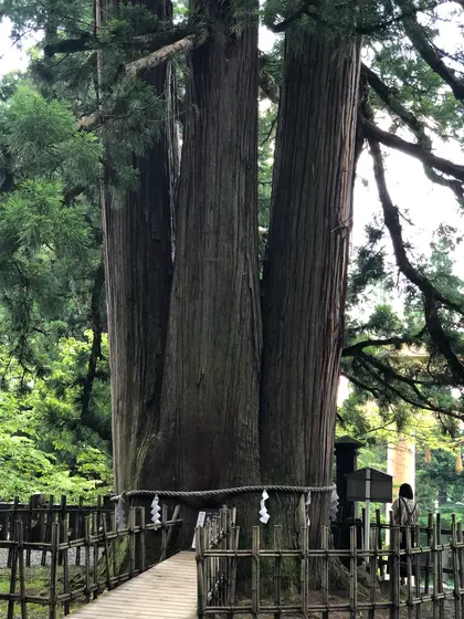 スポット内のおすすめ