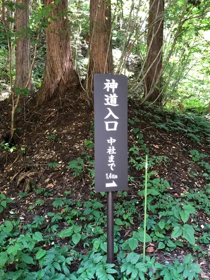 スポット内のおすすめ