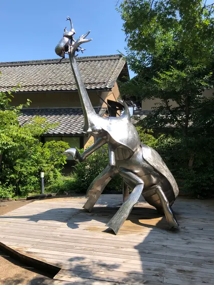 スポット内のおすすめ