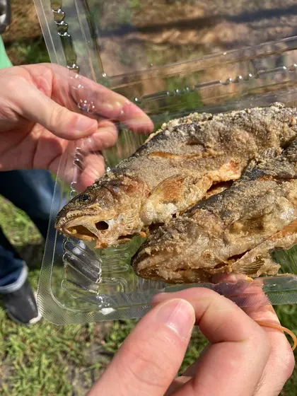 ニジマスの唐揚げ(380円/100g)