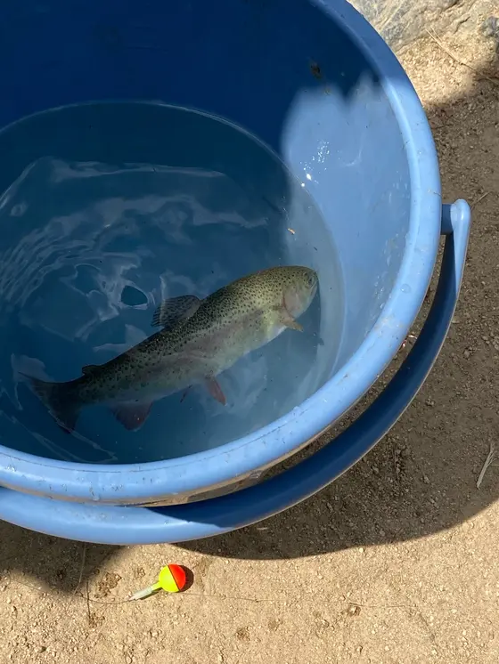 ついに、、！