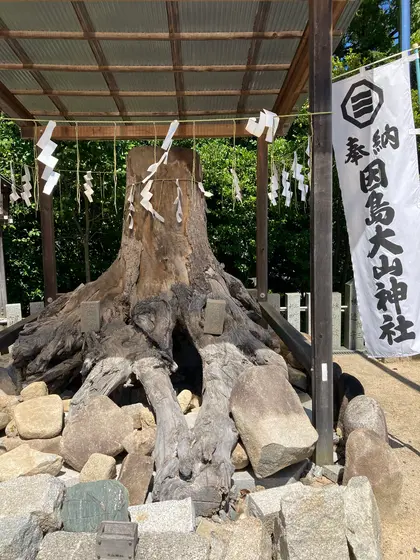 神木