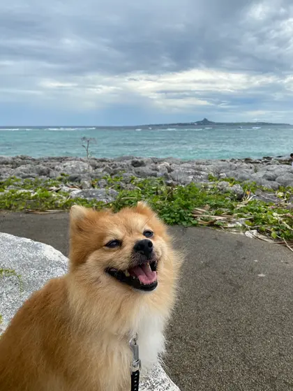 向こーは伊江島