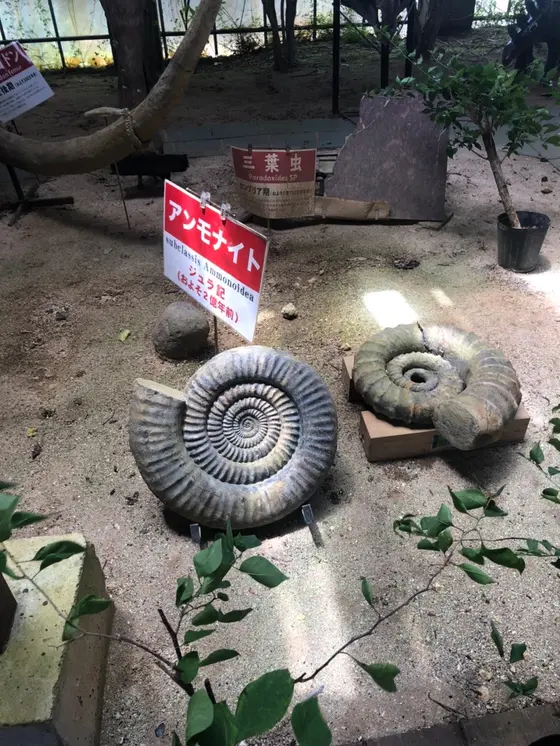 スポット内のおすすめ