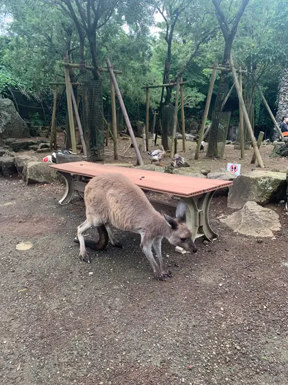 ゼロ距離！！