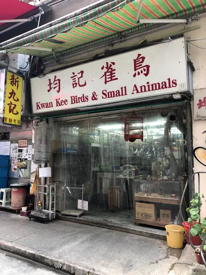 レトロな鳥屋