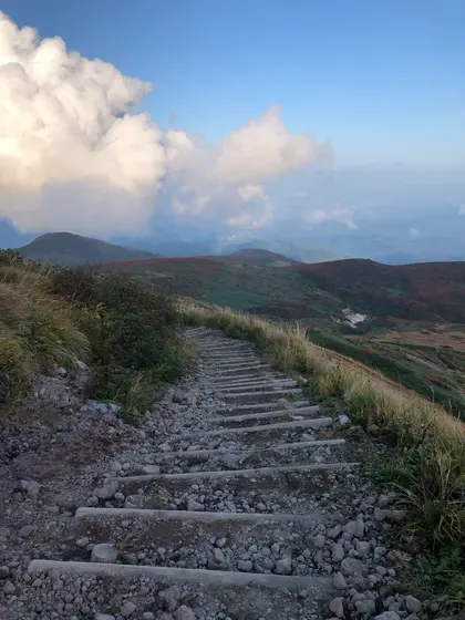山頂付近になると階段が整備されています👀