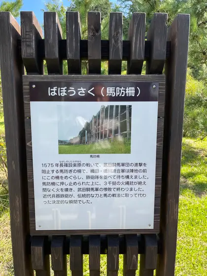 スポット内のおすすめ
