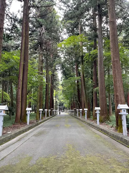 スポット内のおすすめ