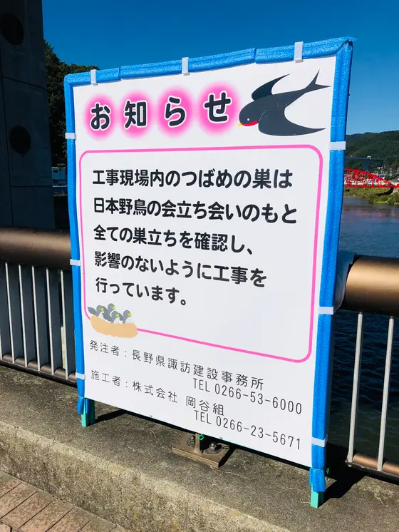 燕に優しい😀