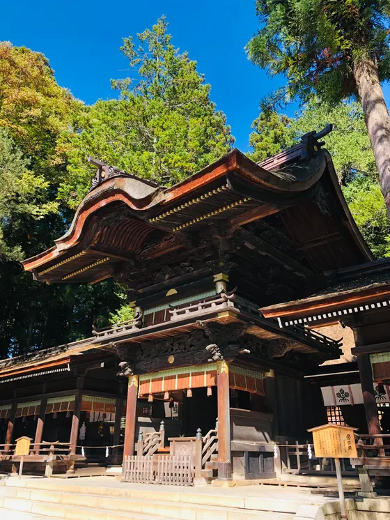 幣拝殿