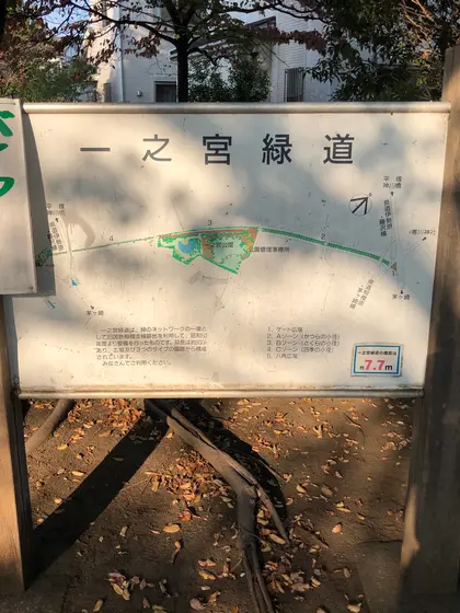 スポット内のおすすめ