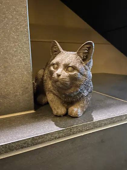 ロビーには猫