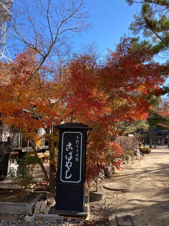 紅葉の季節に