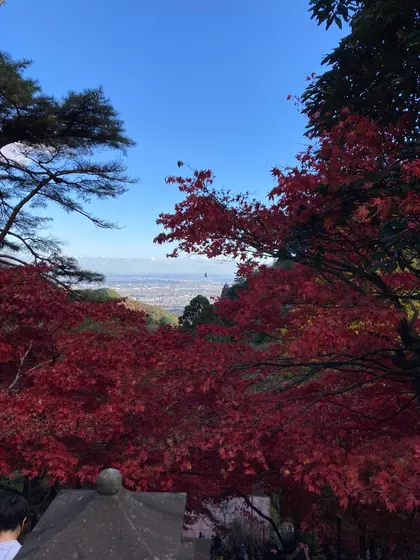 紅葉の隙間から相模湾の眺め
