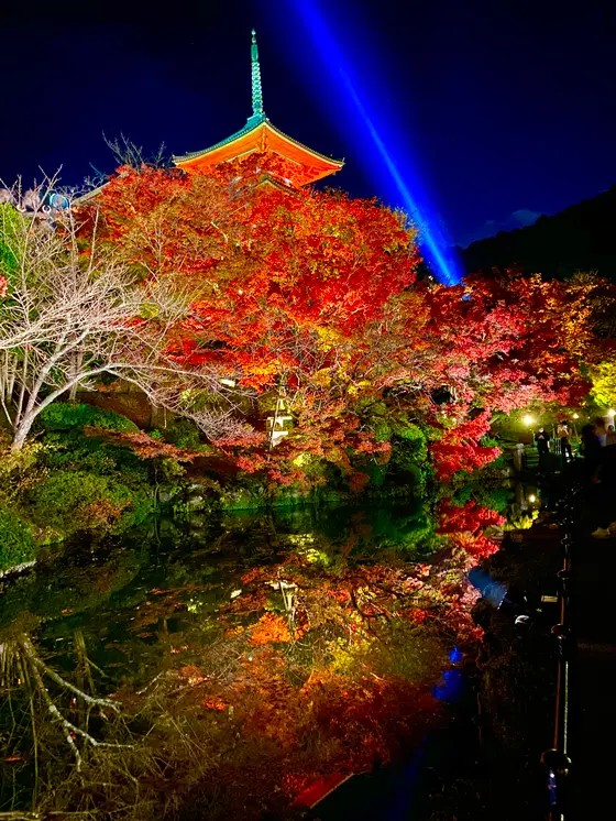 リフレクション