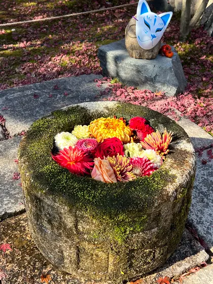 スポット内のおすすめ