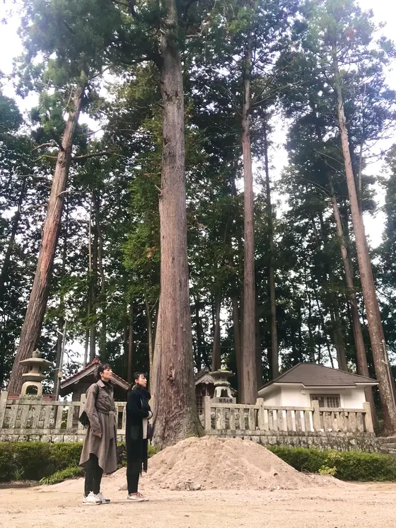 スポット内のおすすめ