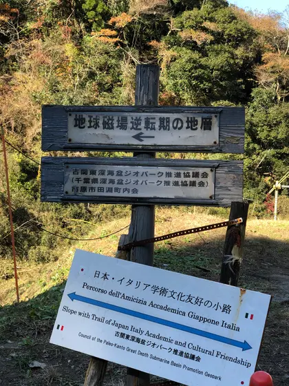 スポット内のおすすめ