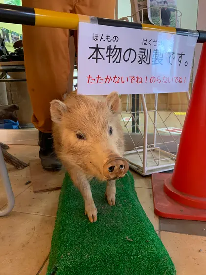 スポット内のおすすめ