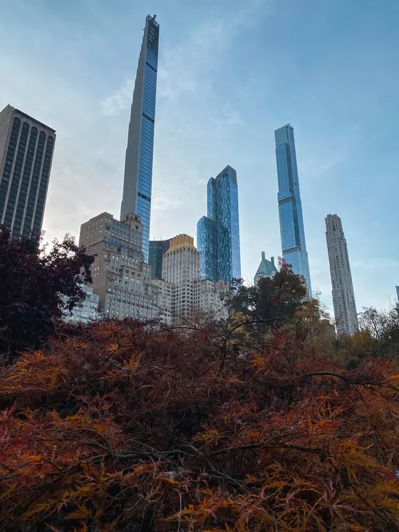 四季を感じる公園