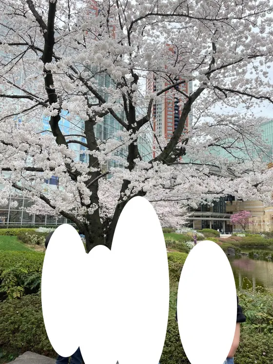 桜の季節も綺麗です。