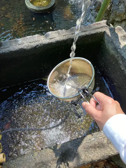 洗ってみた