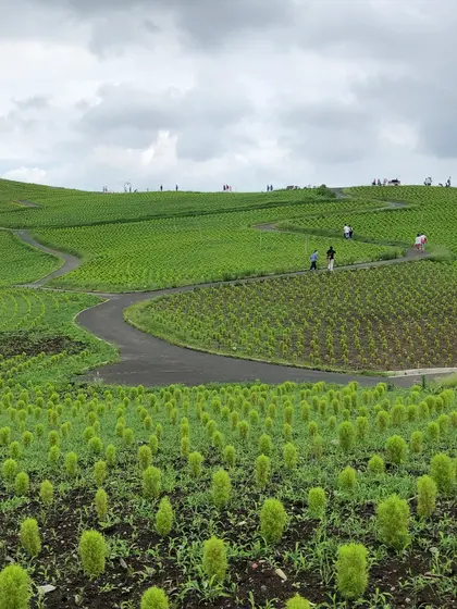 スポット内のおすすめ